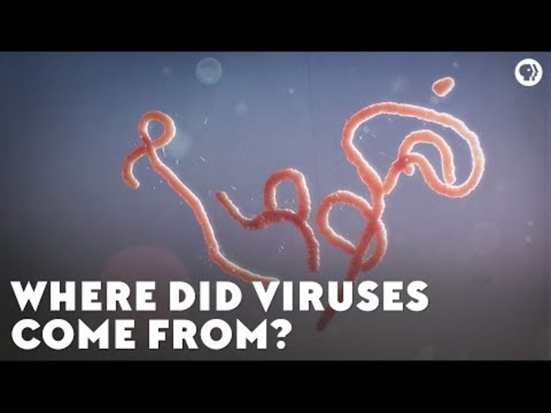Where Did Viruses Come From? Instructional Video