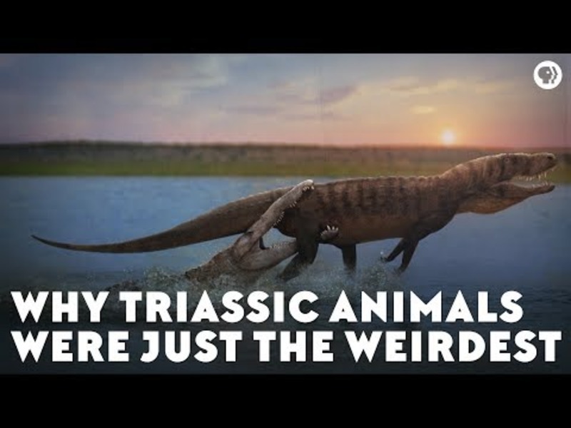 Why Triassic Animals Were Just the Weirdest Instructional Video