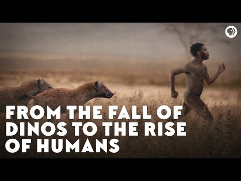 From the Fall of Dinos to the Rise of Humans Instructional Video
