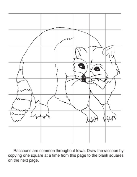 Raccoon Grid Drawing Page Worksheet