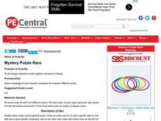 Mystery Puzzle Race Lesson Plan