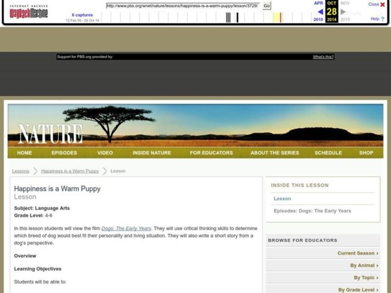 Happiness is A Warm Puppy Lesson Plan