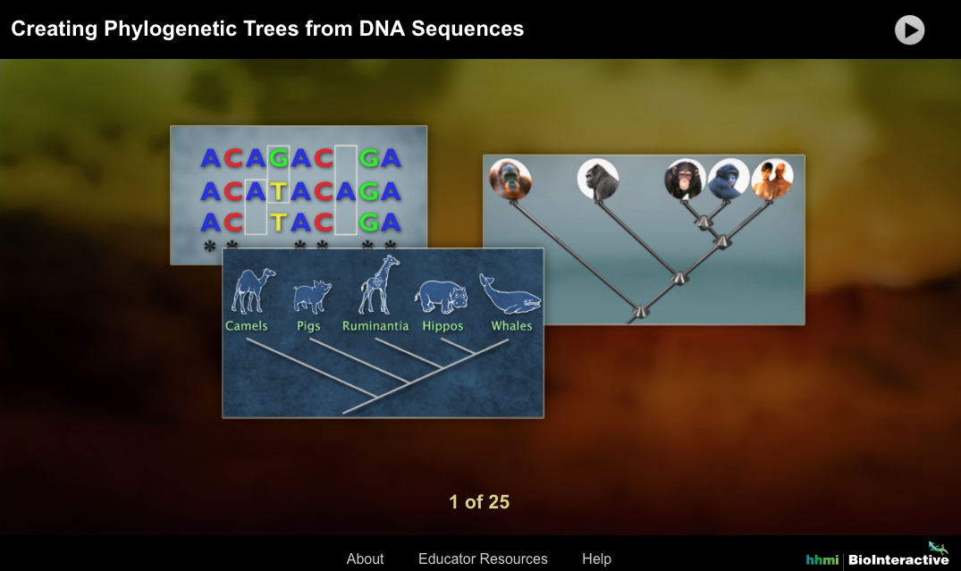 Creating Phylogenetic Trees from DNA Sequences Interactive