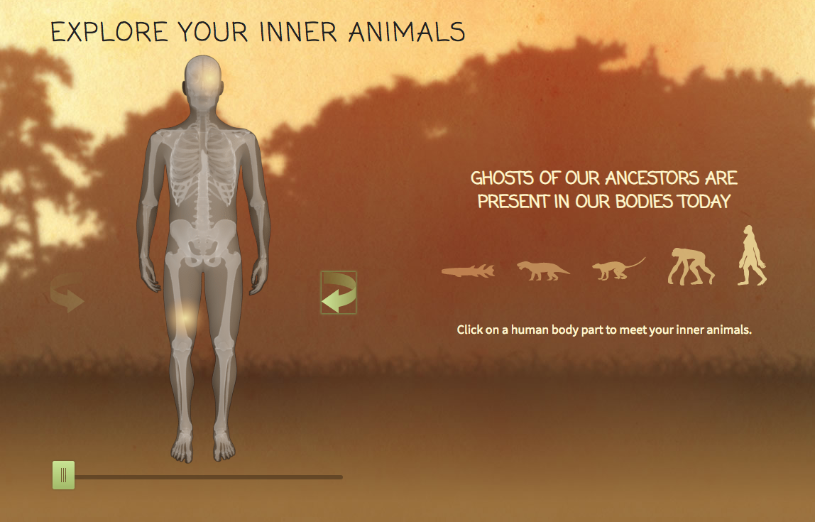 Explore Your Inner Animals Interactive
