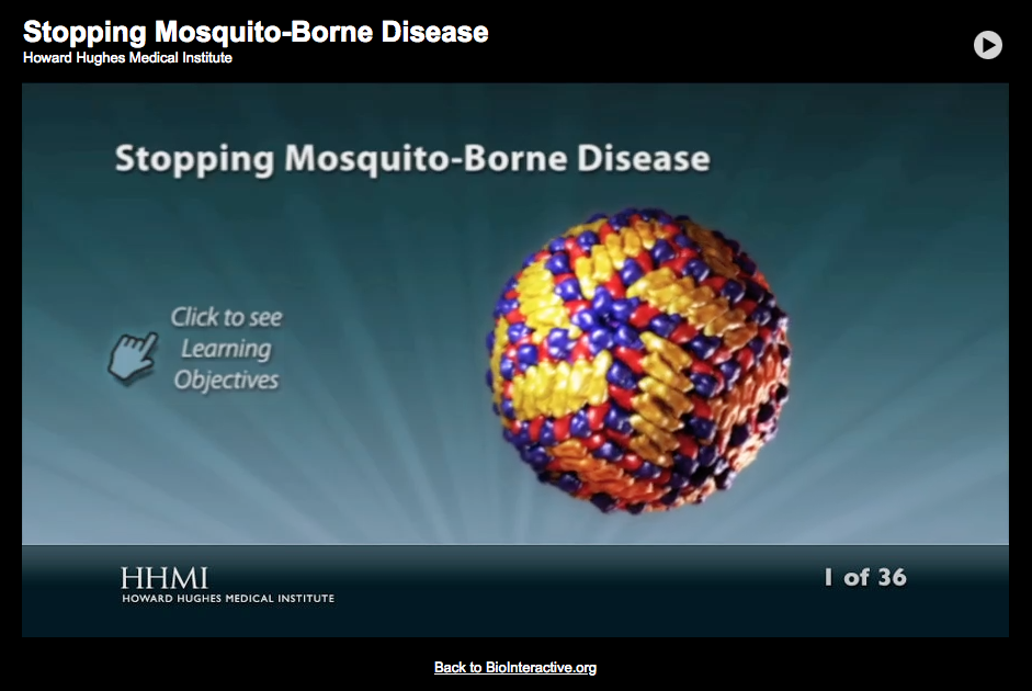 Stopping Mosquito-Borne Disease Interactive