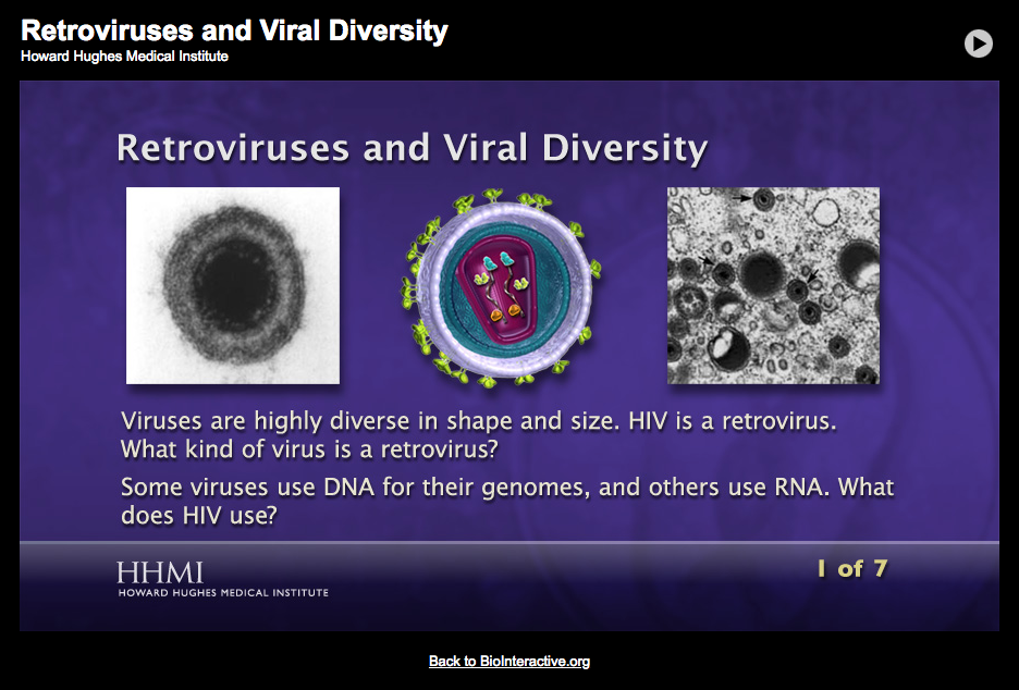 Retroviruses and Viral Diversity Interactive