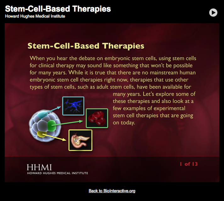 Stem-Cell-Based Therapies Interactive