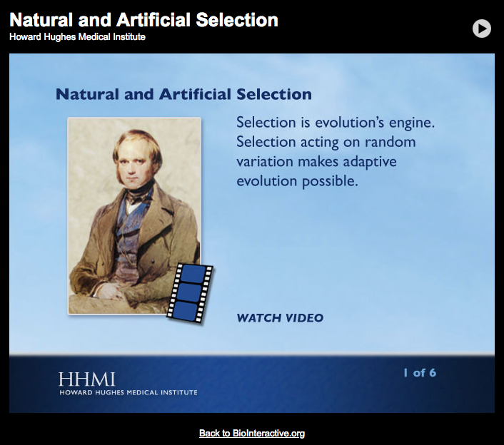 Natural and Artificial Selection Interactive