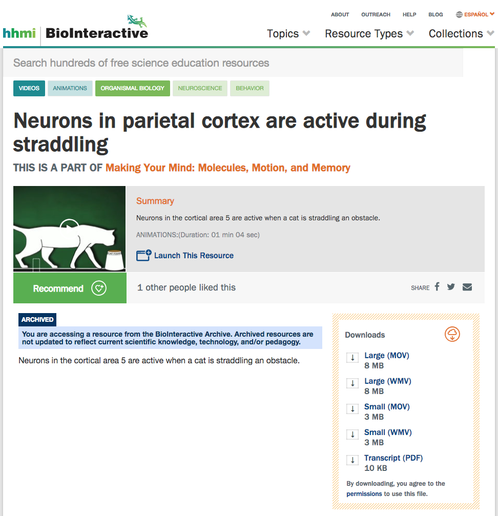 Neurons in Parietal Cortex Are Active During Straddling Instructional Video