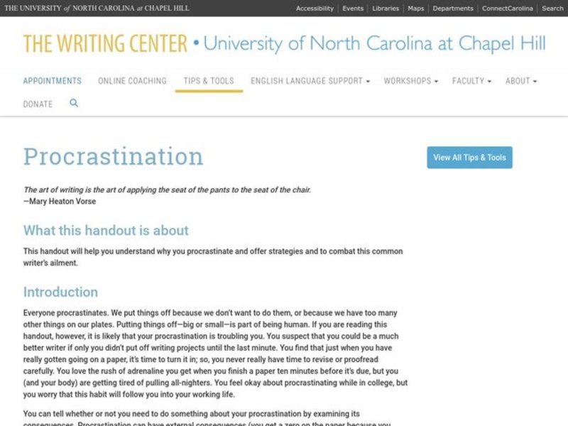 Procrastination Website