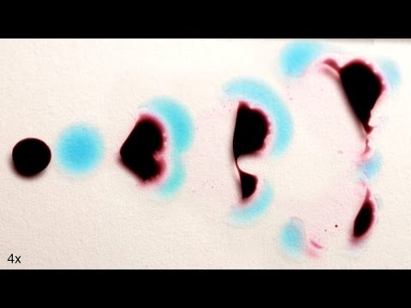 Why Do These Liquids Look Alive? Instructional Video