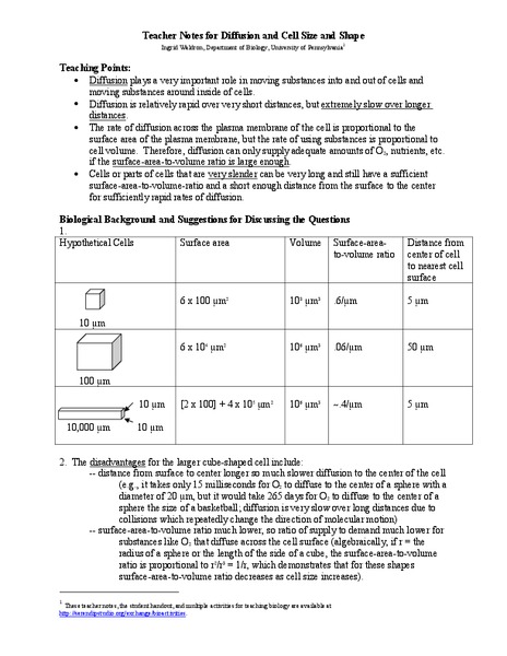 Diffusion and Cell Size and Shape Activity