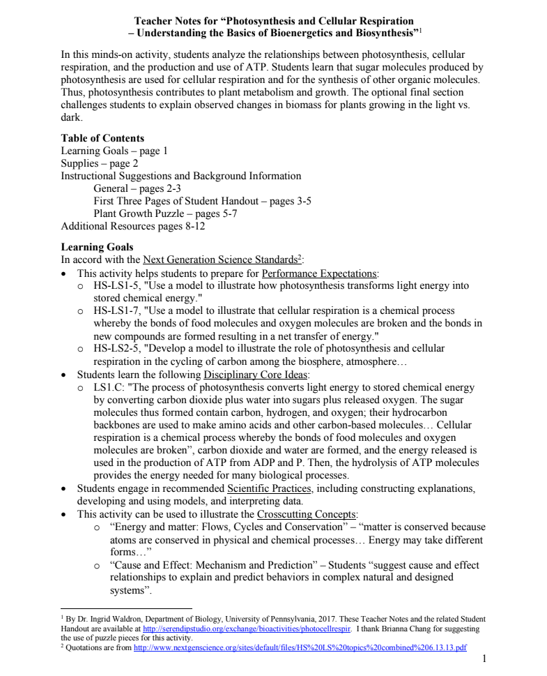 Photosynthesis and Cellular Respiration Activity
