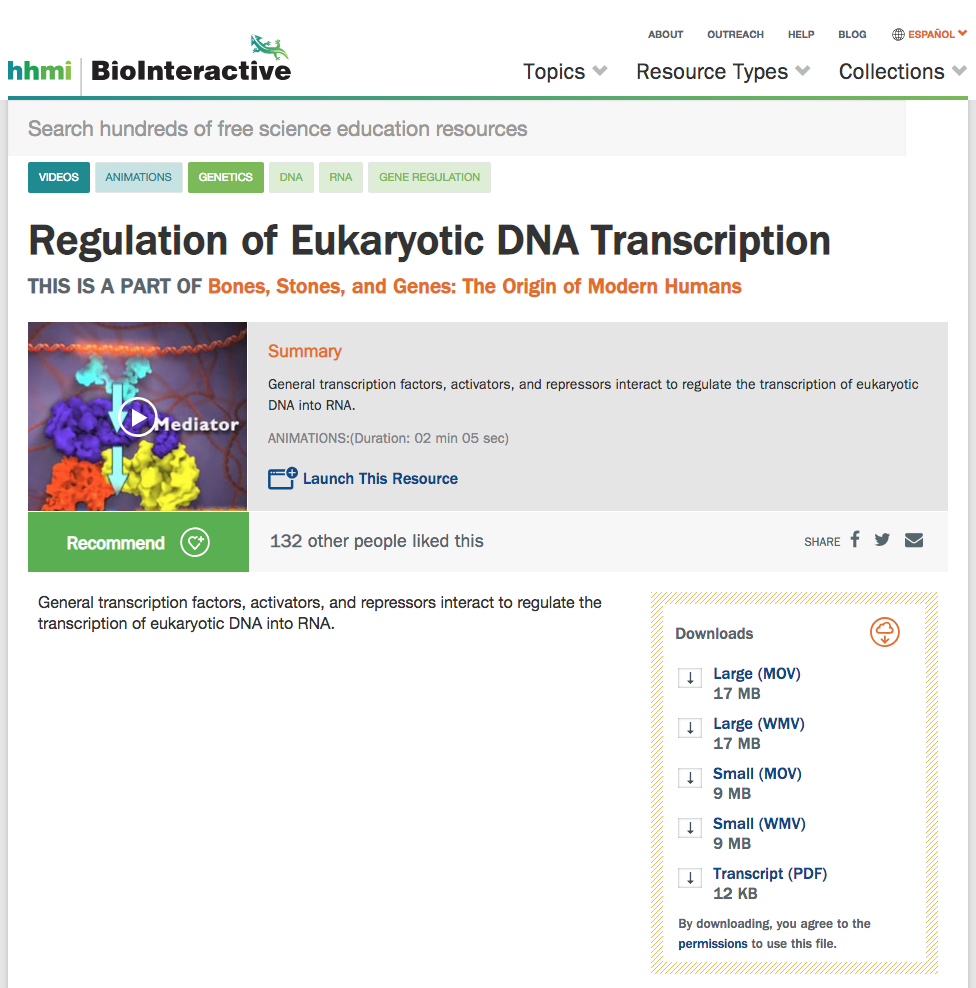 Regulation of Eukaryotic DNA Transcription Instructional Video