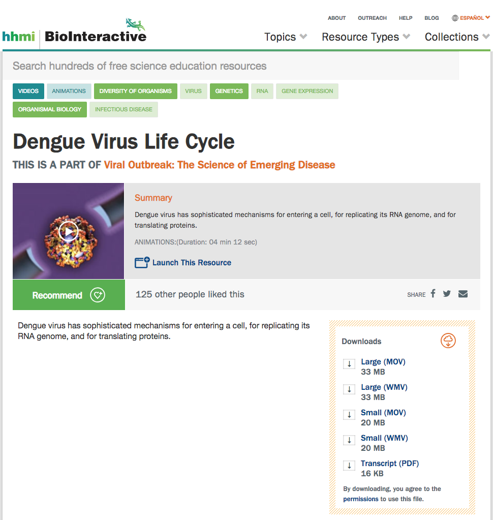 Dengue Virus Life Cycle Instructional Video
