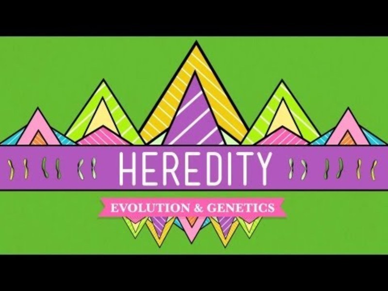 Heredity Instructional Video