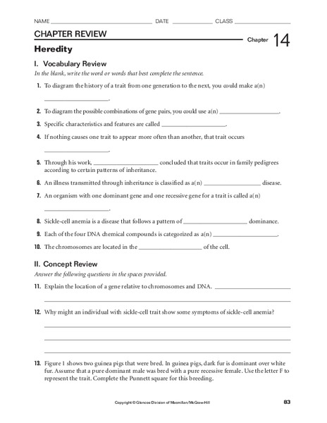 Heredity Worksheet