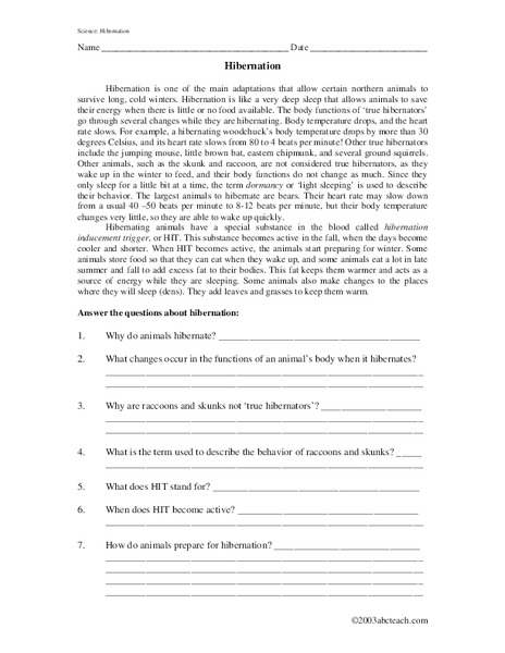 Hibernation Worksheet