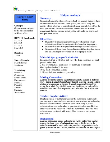 Hidden Animals Lesson Plan