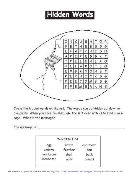 Hidden Words Worksheet