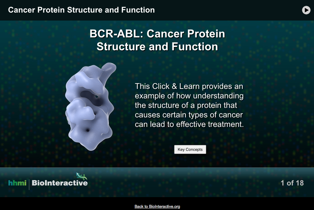 BCR-ABL: Cancer Protein Structure and Function Interactive