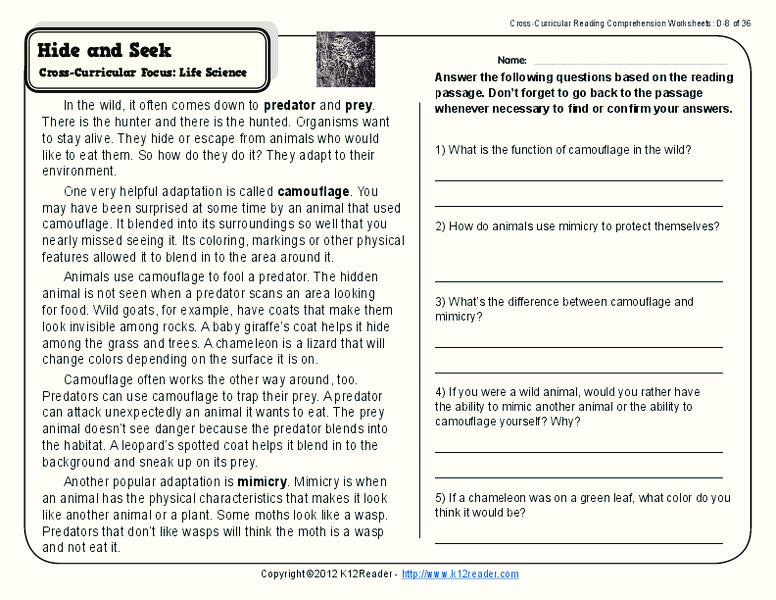 Hide and Seek Worksheet