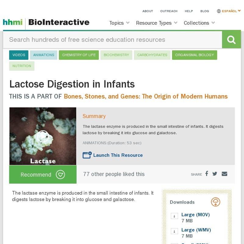 Lactose Digestion in Infants Instructional Video