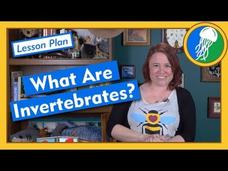 Invertebrates