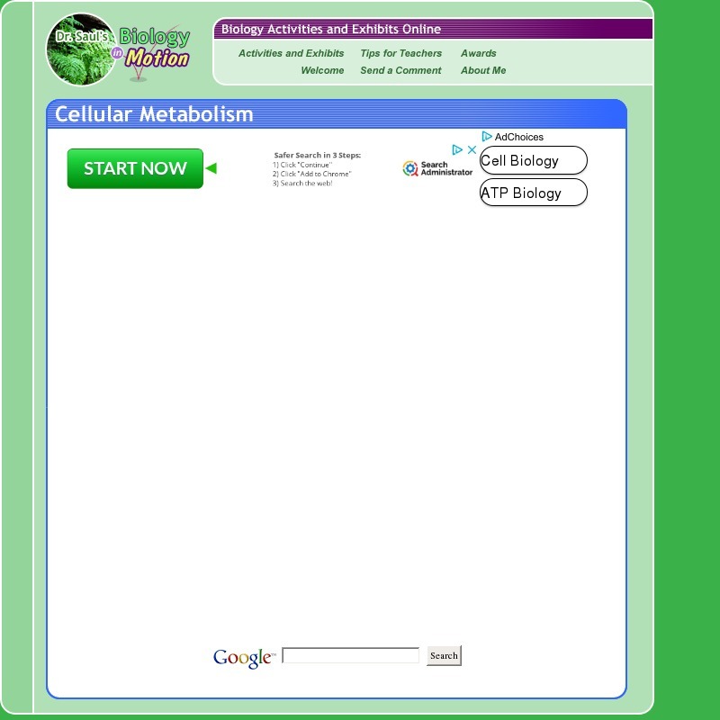 ATP and Energy Storage Interactive