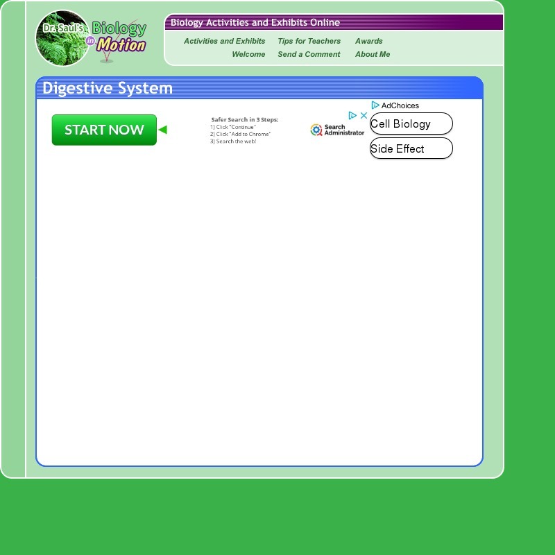 Fat Digestion and Bile Interactive
