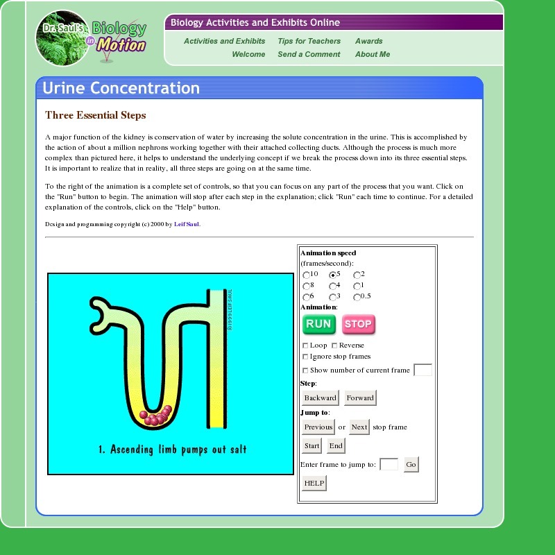 Urine Concentration in 3 Easy Steps Interactive