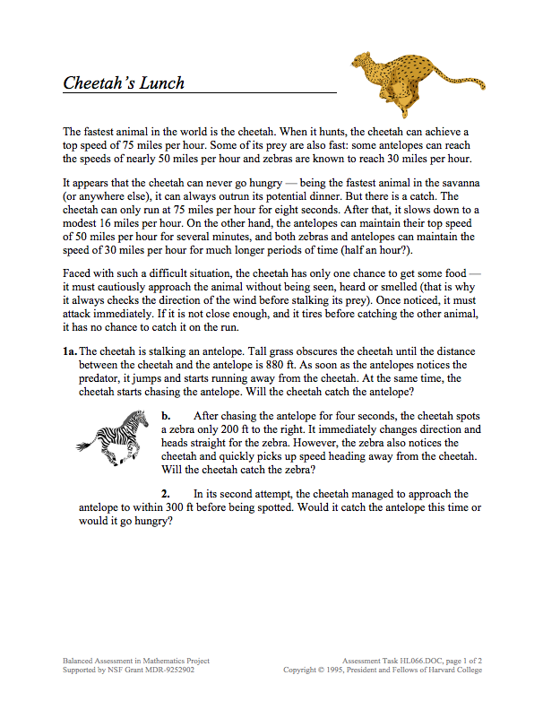 Cheetah's Lunch Assessment