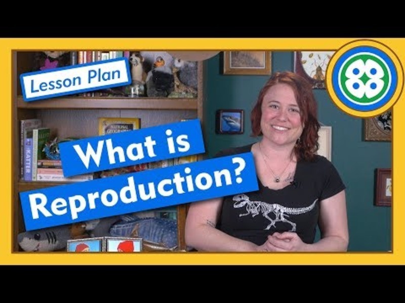 What is Reproduction? - Lesson Plan Instructional Video