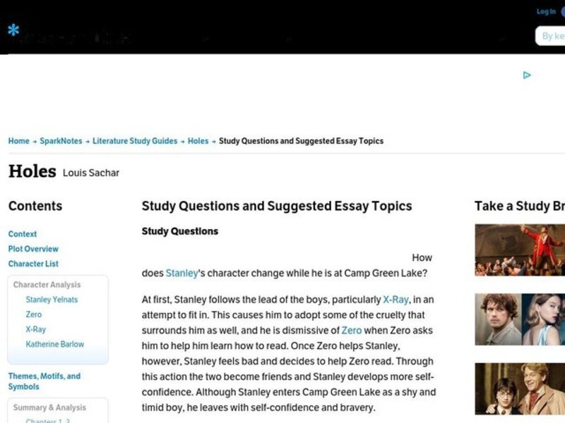 Holes by Louis Sachar: Study Guide - Mini Essays Study Guide