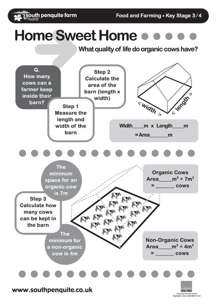 Home Sweet Home Worksheet