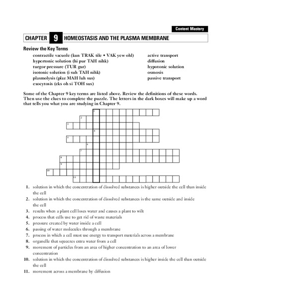 Homeostasis and the Plasma Membrane Worksheet
