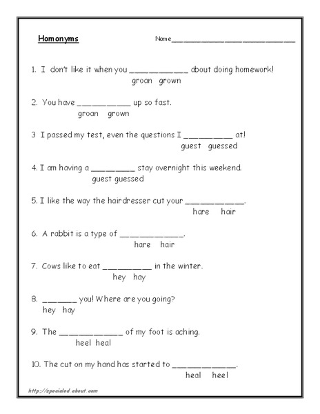 Homonym Practice Worksheet