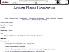 Homonyms Lesson Plan
