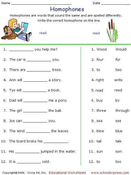 Homophones Worksheet