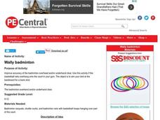 Wally badminton Lesson Plan