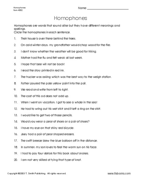 Homophones in Sentences Worksheet