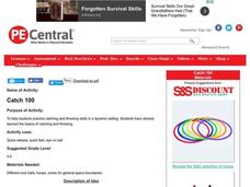 Catch 100 Lesson Plan