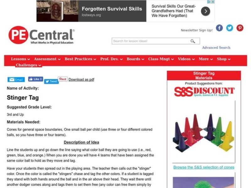 Stinger Tag Lesson Plan