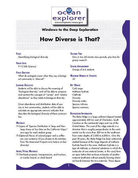 How Diverse is That? Lesson Plan