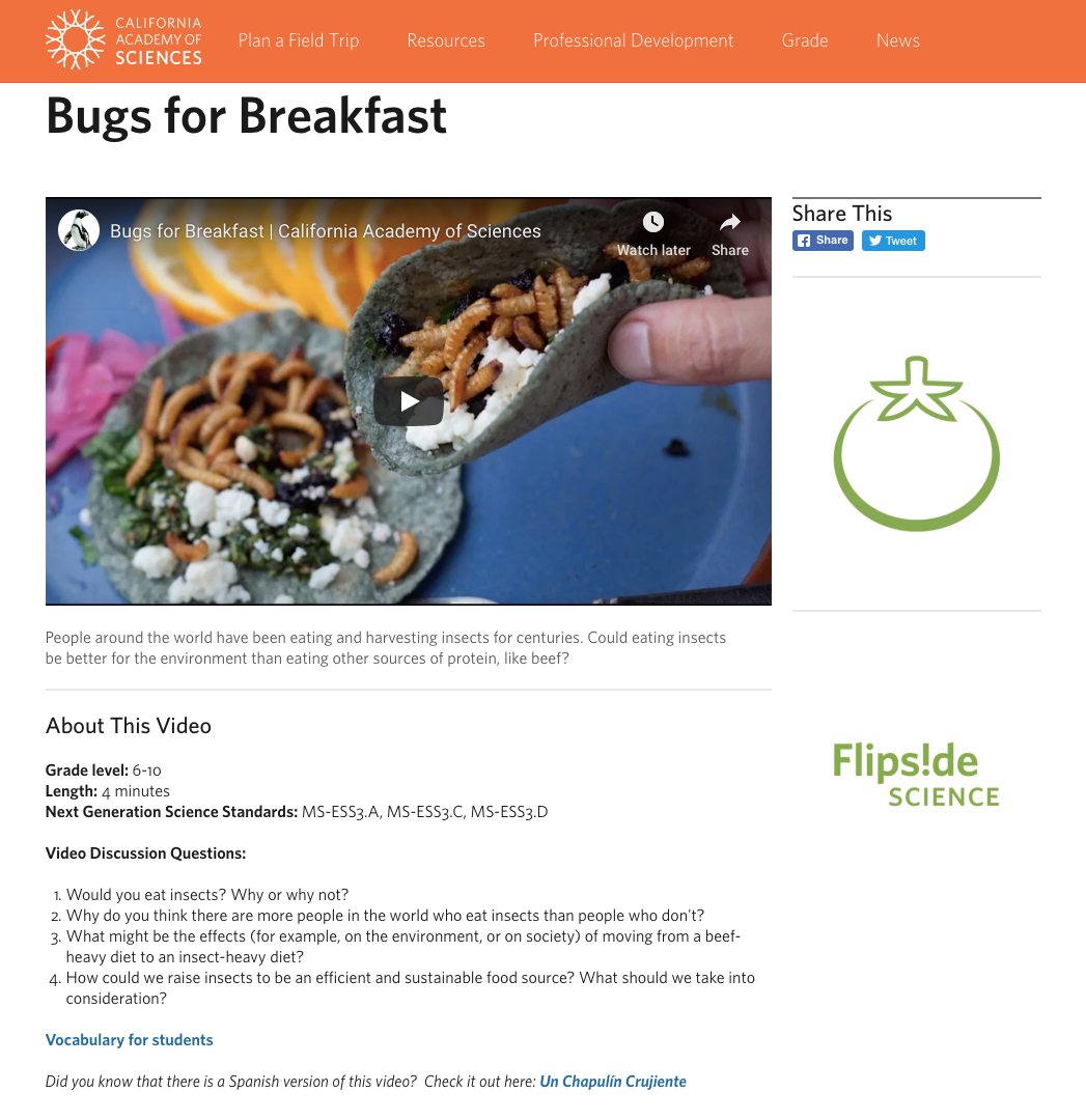 Bugs for Breakfast Instructional Video
