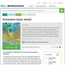 Translation (Basic Detail) Instructional Video