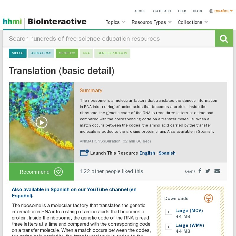 Translation (Basic Detail) Instructional Video