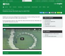 Dolphins Know the Best Way to Catch Fish Instructional Video