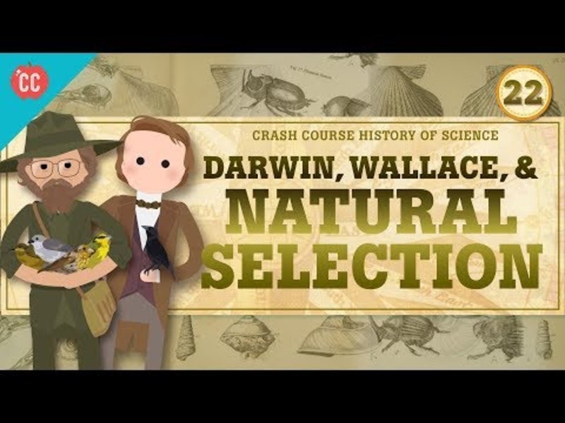 Darwin and Natural Selection: Crash Course History of Science #22 Instructional Video