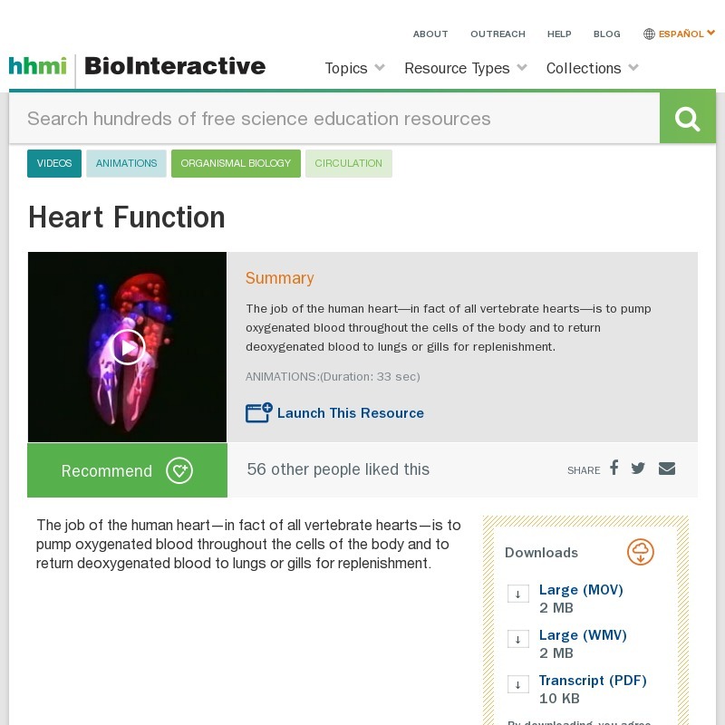 Heart Function Instructional Video